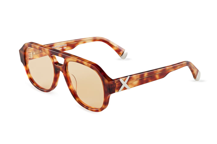 LE STYLE/ Havana Yellow photochromic