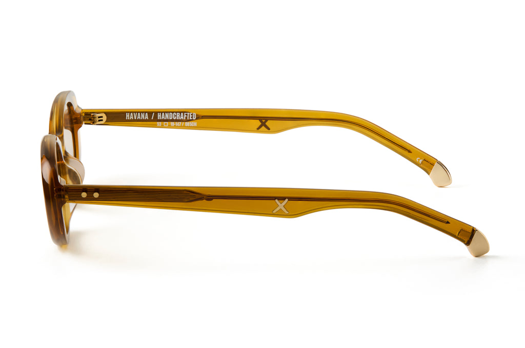 HAVANA - CARAMEL / Cola Photochromic