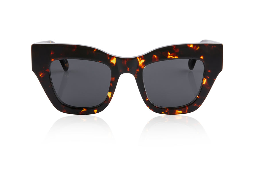 HAARLEM/ DARK TORT