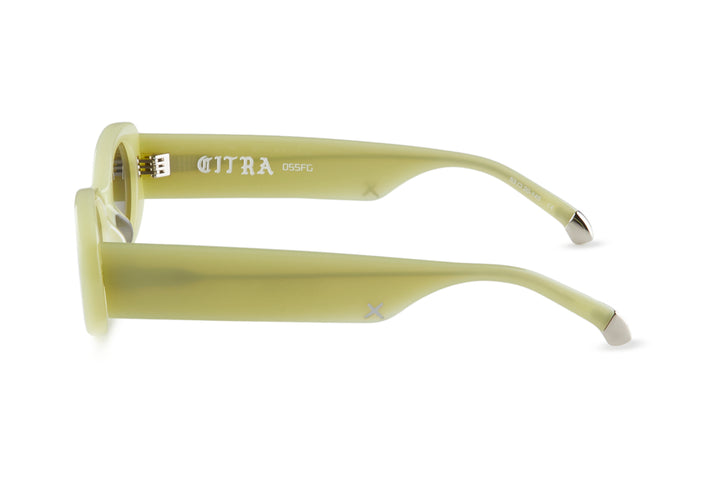 CITRA/ FOREST - Gray Lens